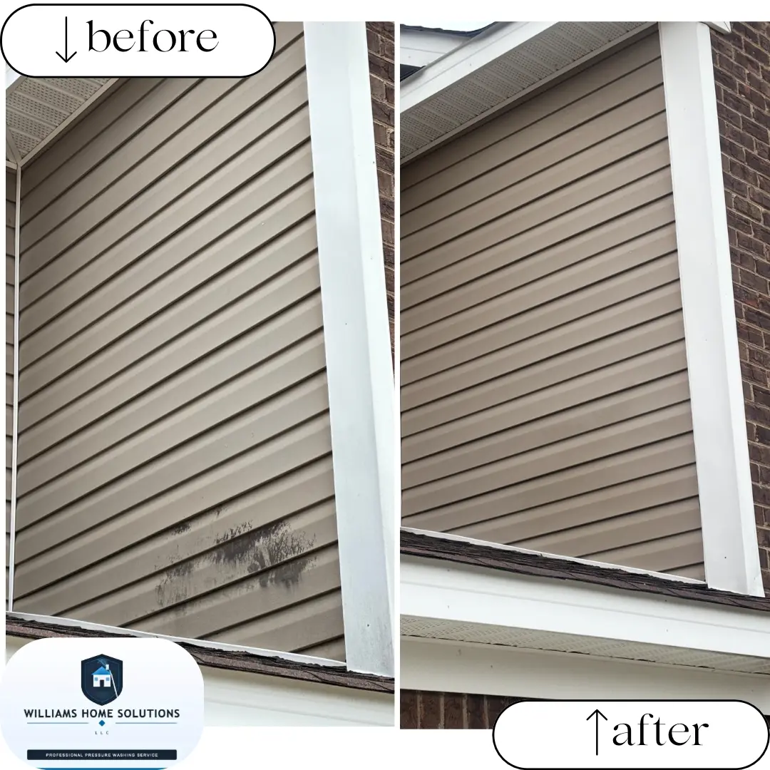 Before and after soft washing tan vinyl siding to remove mold and algae streaks